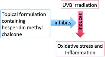 Topical formulation containing hesperidin methyl chalcone inhibits 